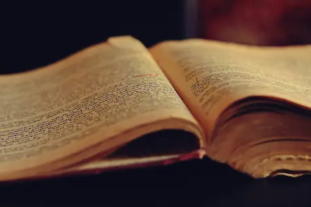 Bild in der Bildergallerie zu Historische Akten und Bücher digitalisieren – behutsam und professionell