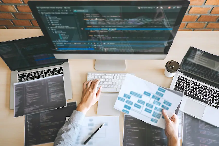 Bild zu den Informationen zu Medienkatze